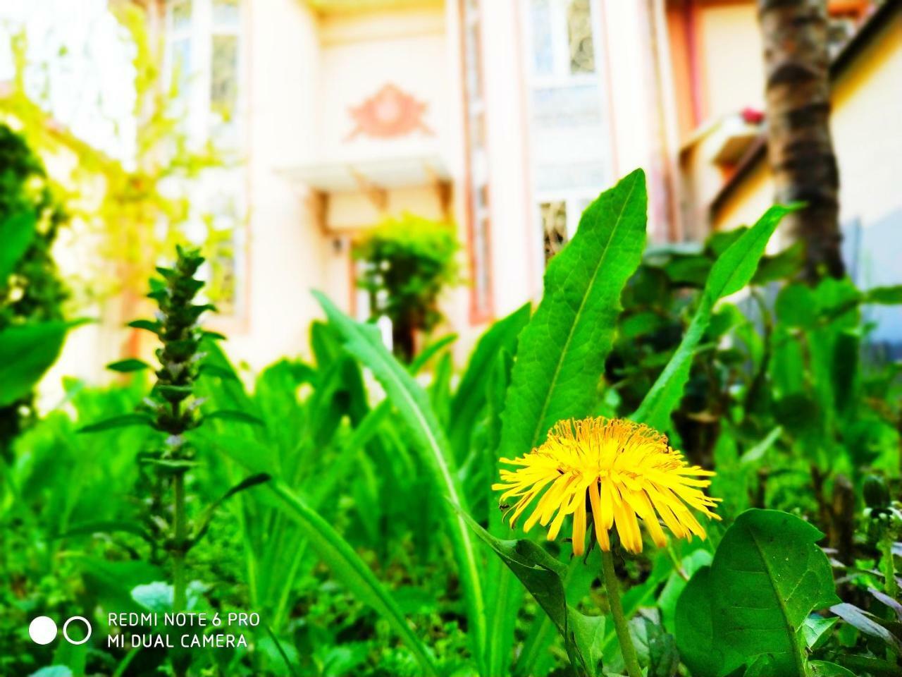 Rakat Inn Navigator Tașkent Exterior foto