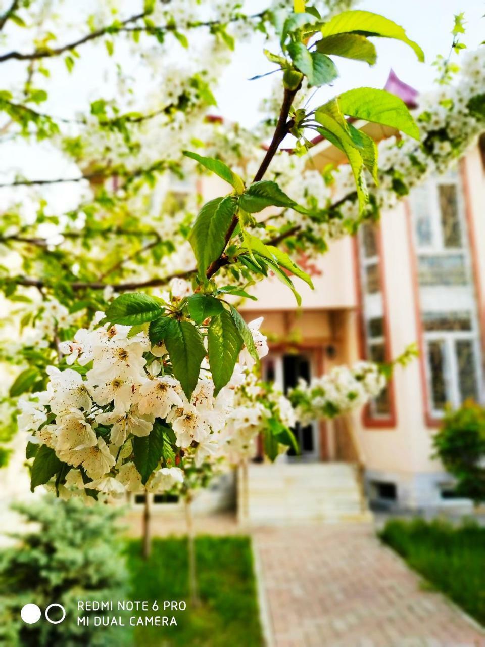 Rakat Inn Navigator Tașkent Exterior foto
